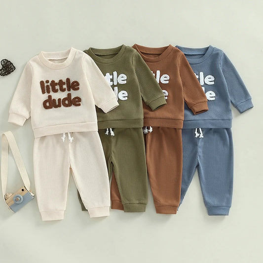 Sweatshirt with Elastic Waist Solid Pants Set