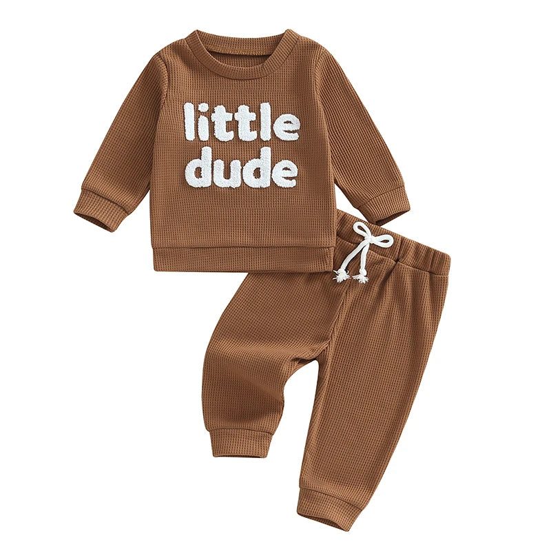 Sweatshirt with Elastic Waist Solid Pants Set