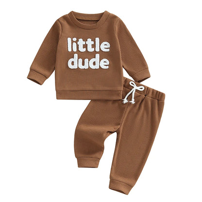 Sweatshirt with Elastic Waist Solid Pants Set